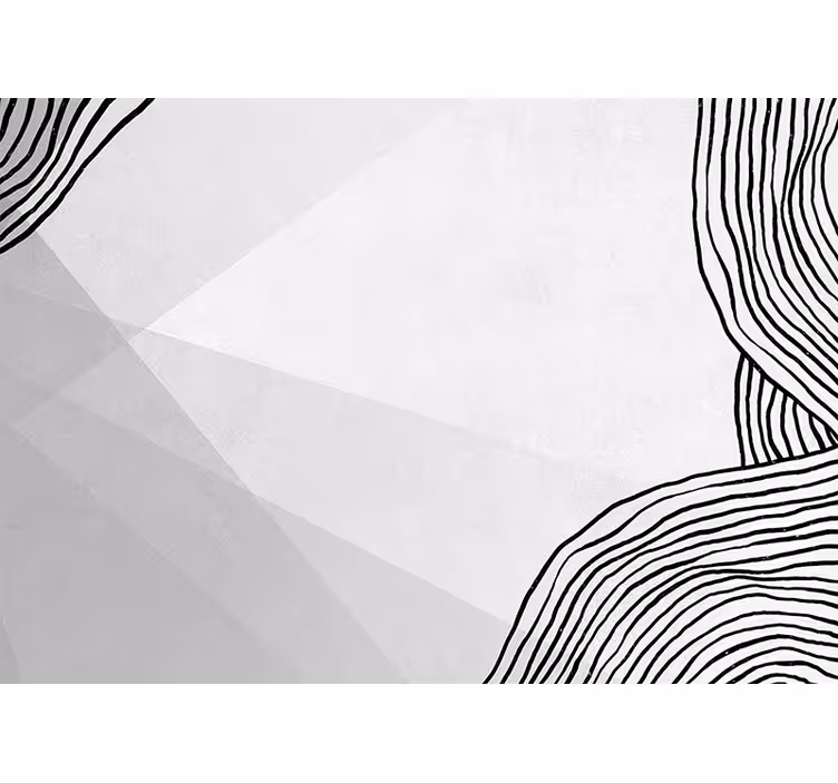 Abstract wall mural geometric line design - TenStickers