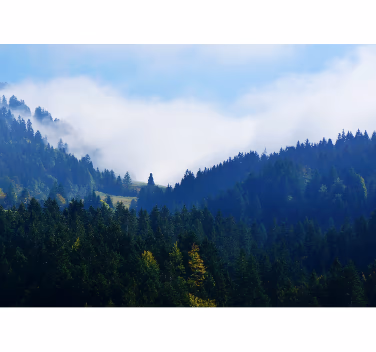Wall mural nature mountains and fog - TenStickers