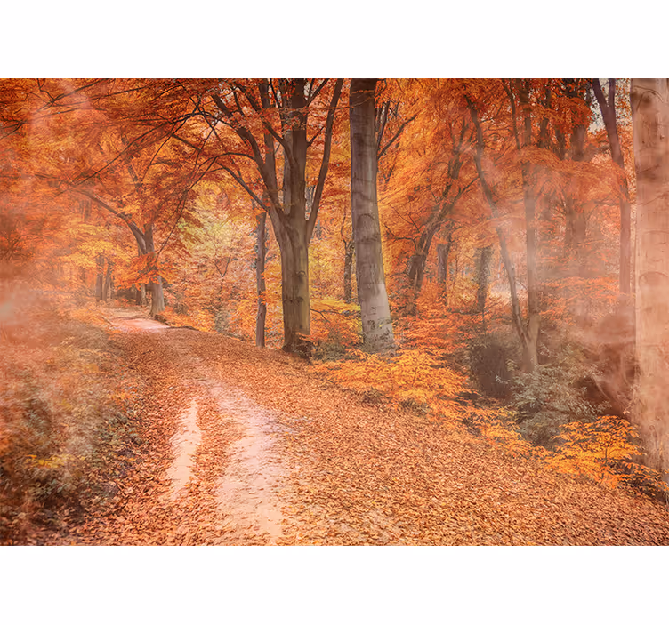 Wall mural nature autumn trail path - TenStickers