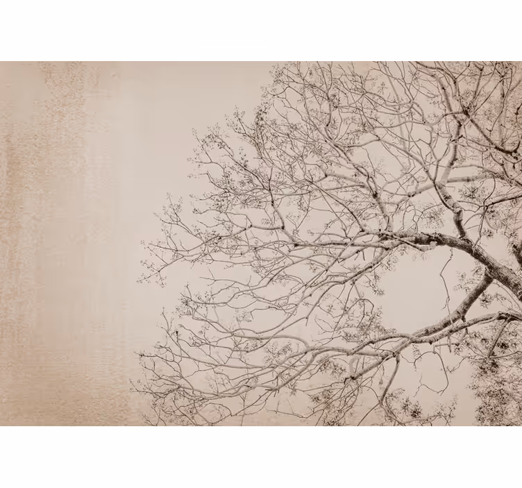 Wall mural trees beautiful branching silhouette - TenStickers