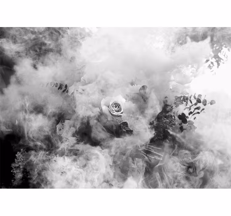 White smoke Abstract Wall Murals - TenStickers
