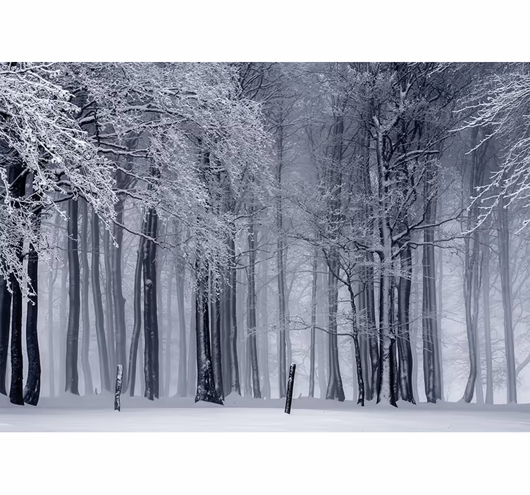 Scandinavian style birch trunks tree mural - TenStickers