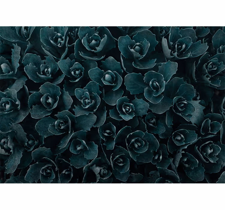 Elegant rose bloom flower wall mural - TenStickers