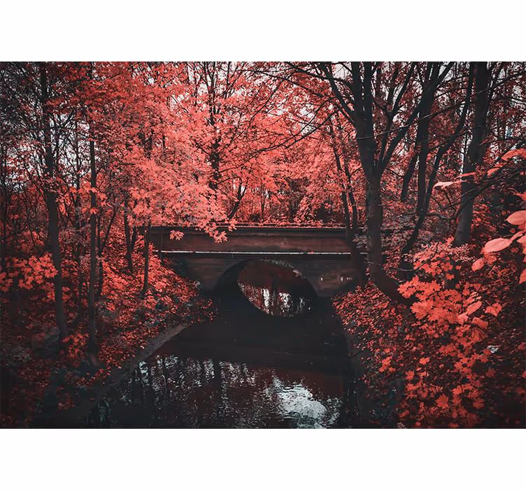 Wall mural nature red leaf forest - TenStickers