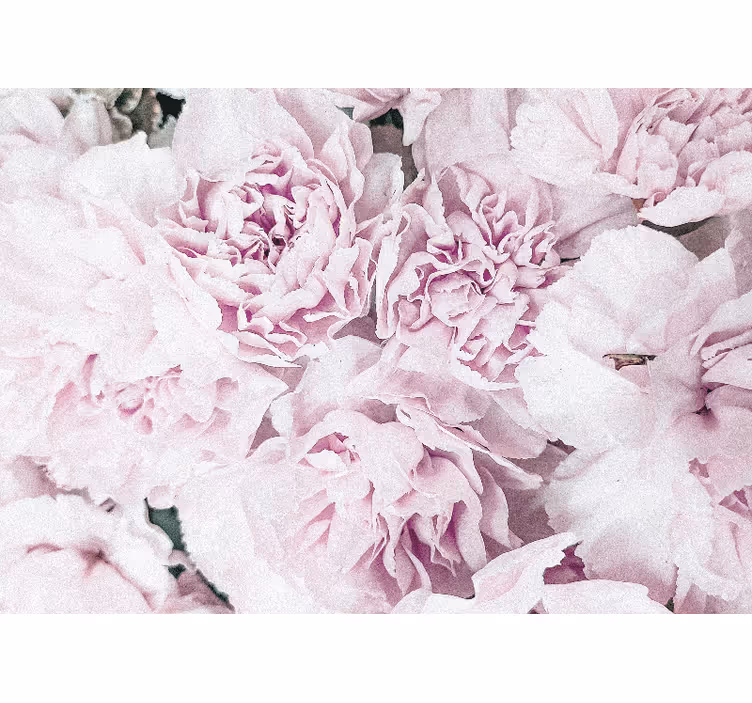 Flower wall mural soft pink blossoms - TenStickers
