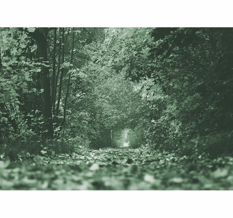 Green leaves tunnel nature wall mural - TenStickers