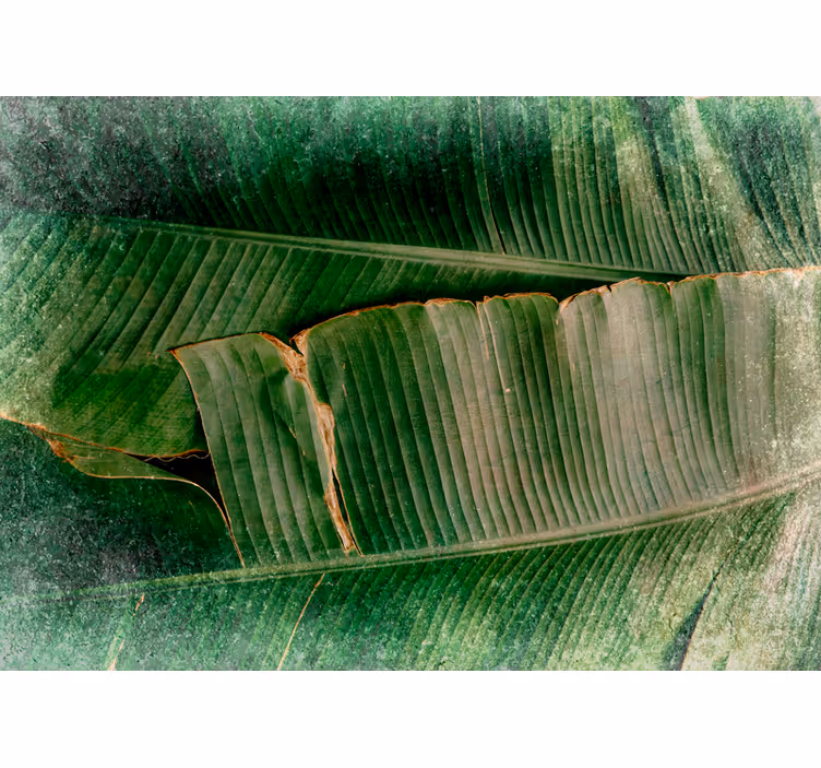 Wall mural nature vibrant foliage layers - TenStickers