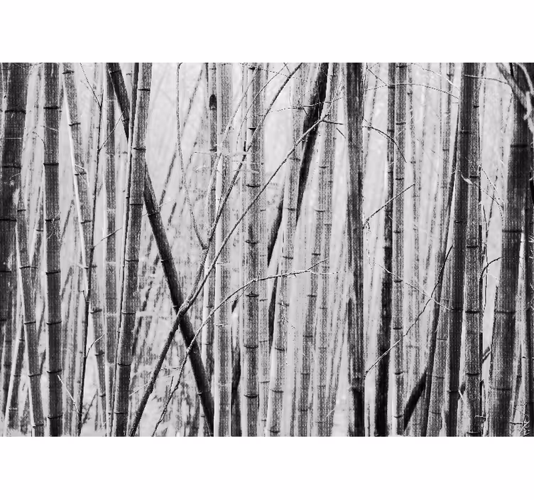 Bamboo wall mural with bamboo forest design - TenStickers