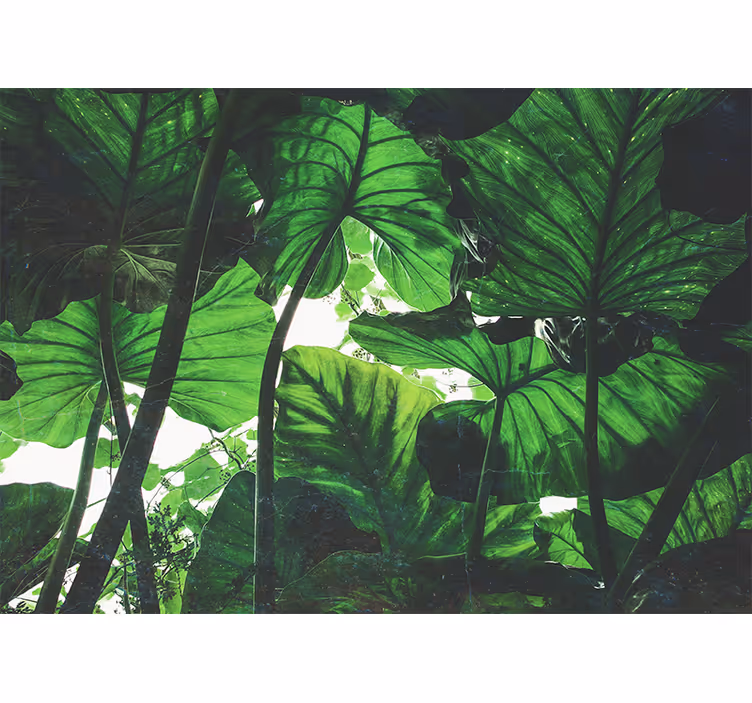 Wall mural nature lush leaf canopy - TenStickers