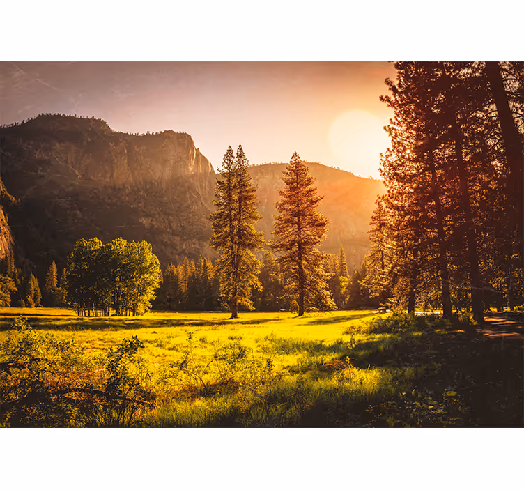 Sunset behind the trees Forest Wall Mural - TenStickers