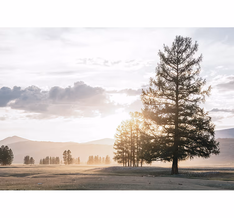 Wall mural nature serene pine silhouette - TenStickers