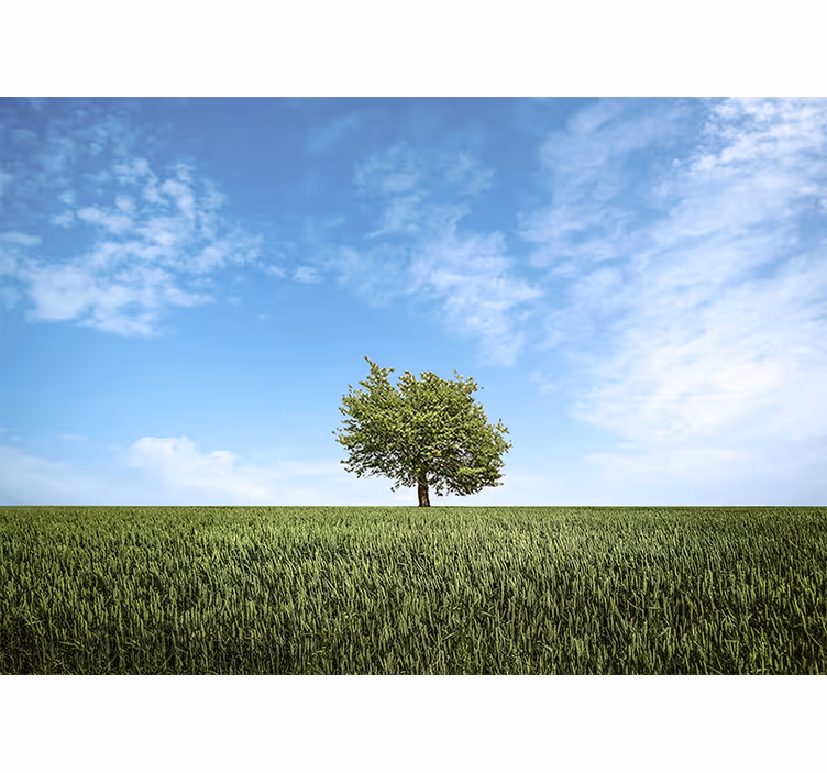 Plain green fields and tree nature wall mural - TenStickers