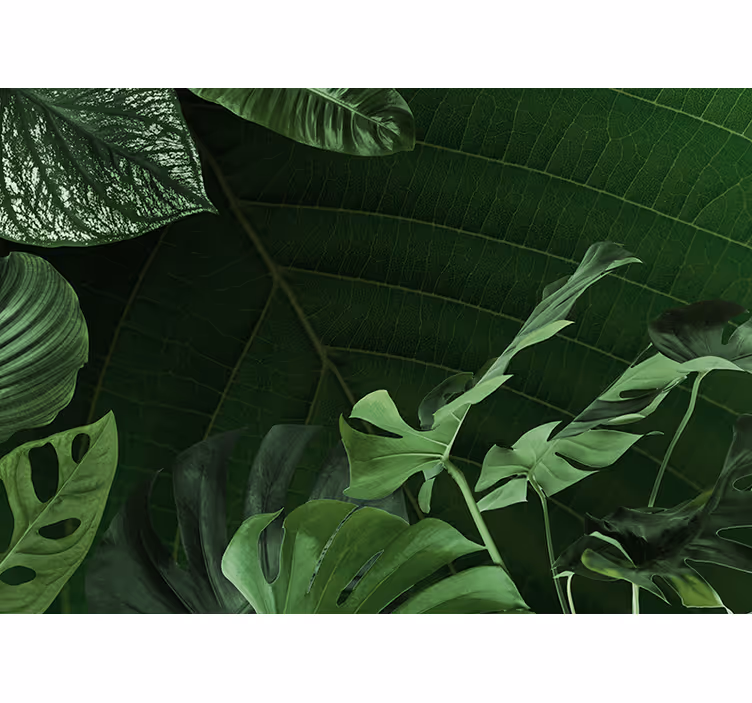 Lush green foliage wall mural nature - TenStickers