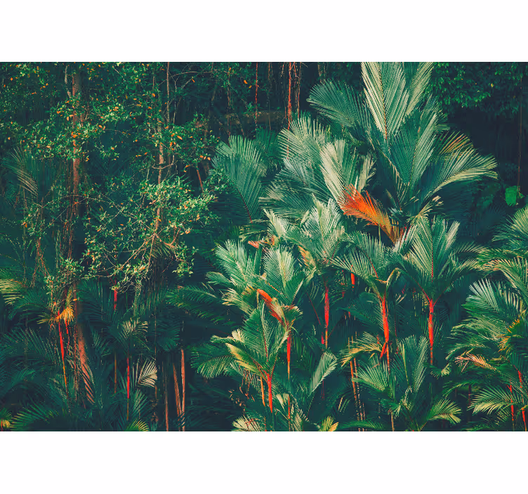 Jungle wall mural tropical palm collection - TenStickers