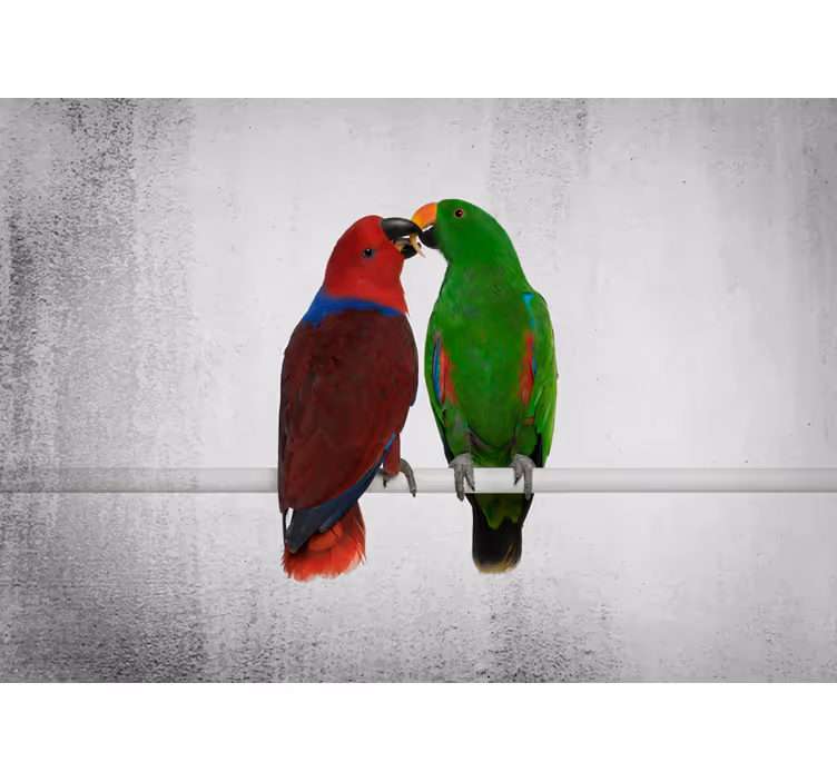 Animals wall mural colorful parrots interaction - TenStickers