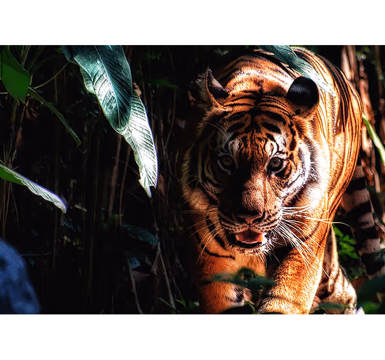 Animals wall mural majestic tiger stalks - TenStickers