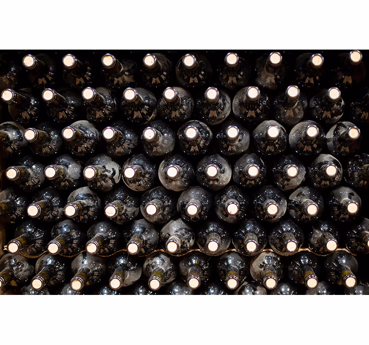 Bottles in a Winery vintage wall mural - TenStickers