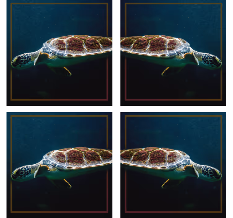 Modern coaster with graceful sea turtle image - TenStickers