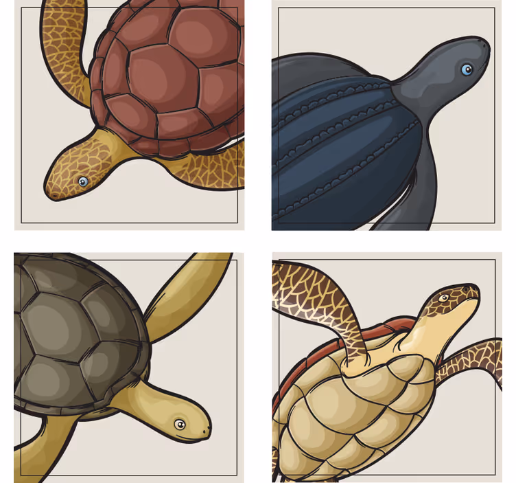 Geek coasters with vibrant turtle designs - TenStickers