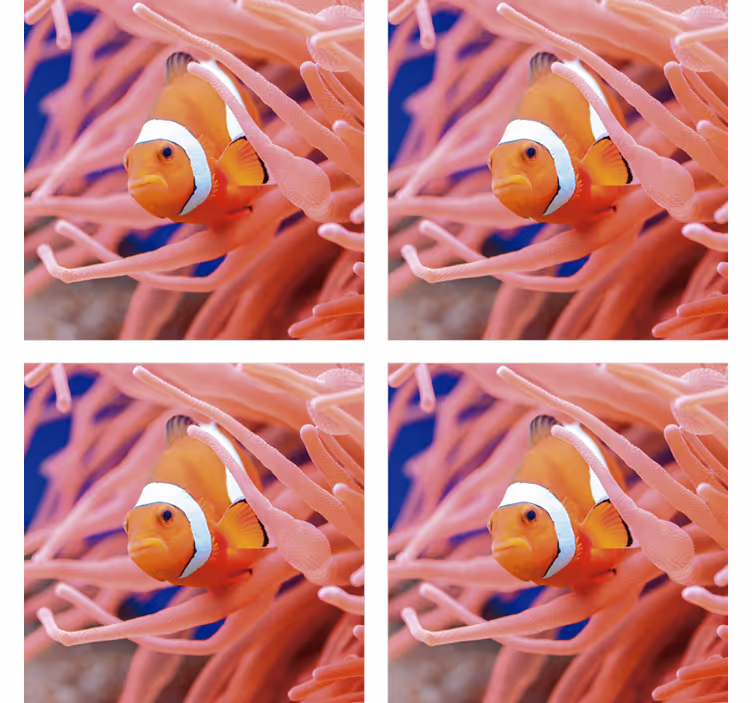 Modern coaster clownfish underwater scene - TenStickers