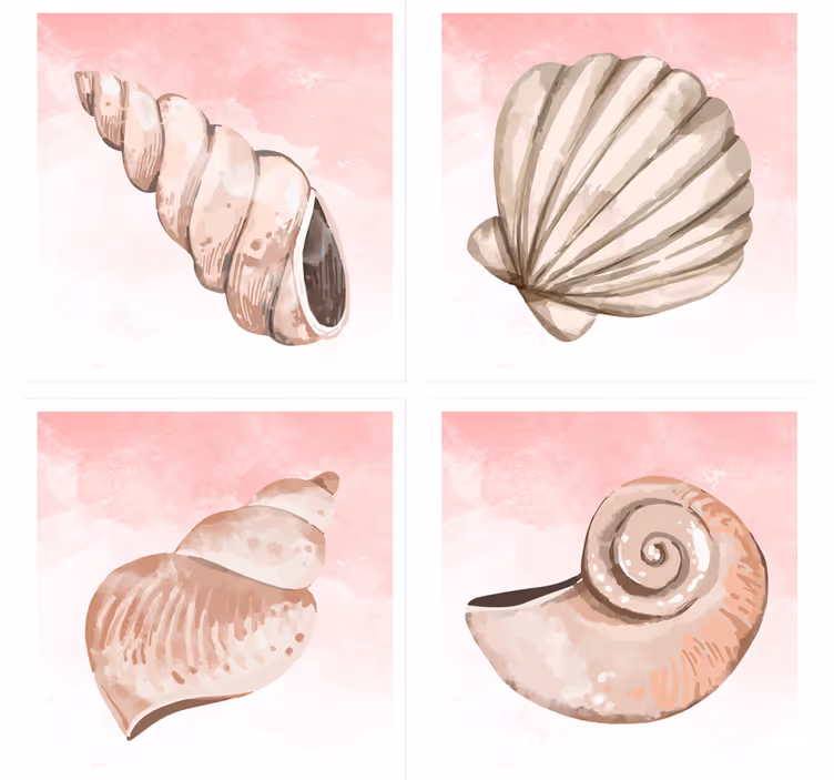 Modern coaster seashells with pink splash - TenStickers