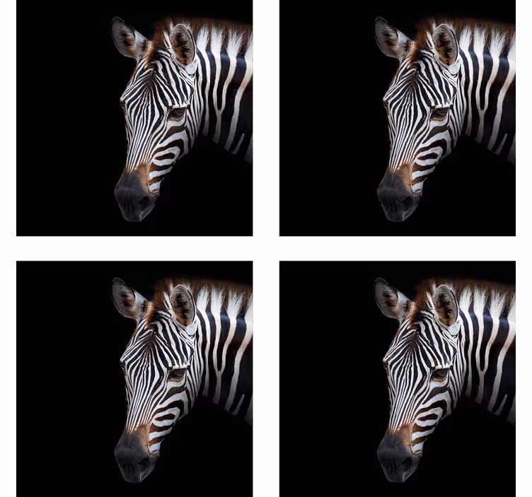 Modern coaster zebra head design - TenStickers