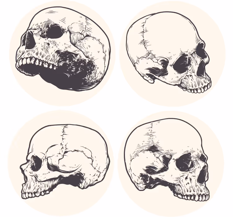 Geek coasters skull illustration set - TenStickers