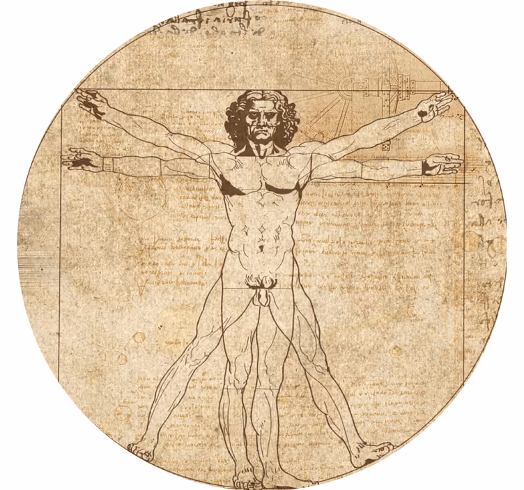 Modern coaster vitruvian man illustration - TenStickers