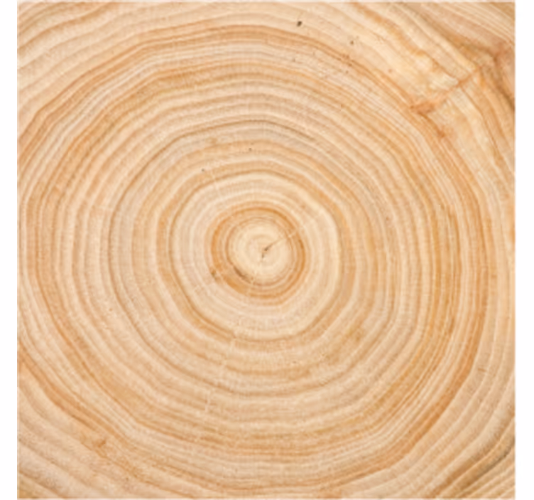Wood grain circle coasters - TenStickers