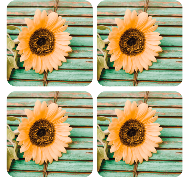 Modern coaster sunflower on green background - TenStickers