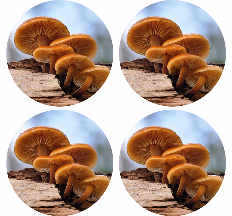 Modern coaster mushroom cluster design - TenStickers