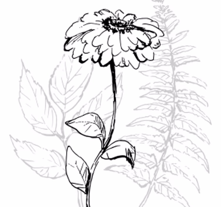 Botanical line art coasters - TenStickers