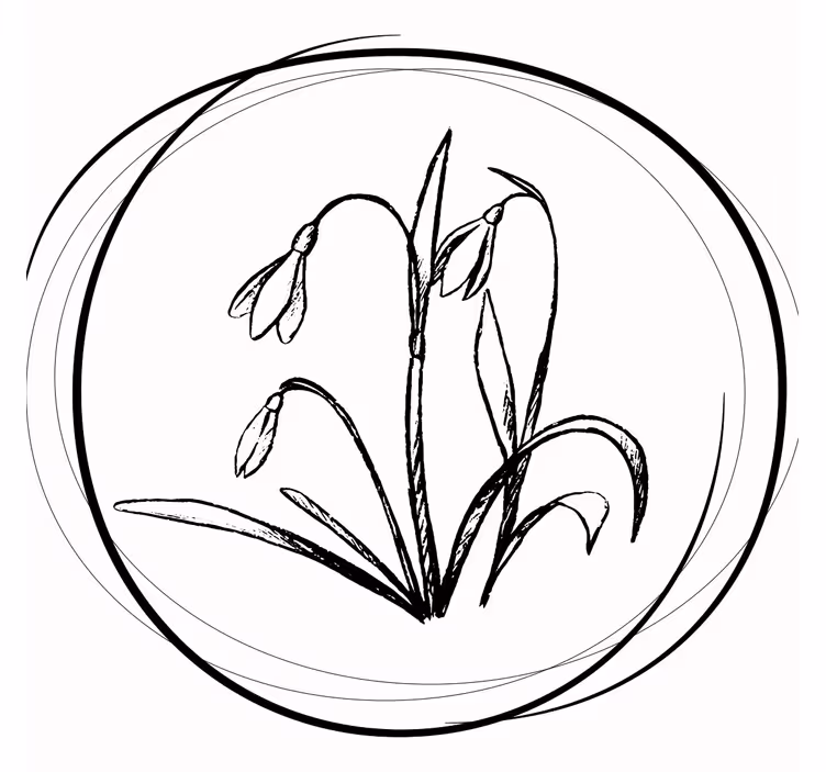 Coasters elegant floral sketch - TenStickers