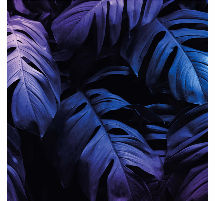 Coasters with lush leaf patterns - TenStickers