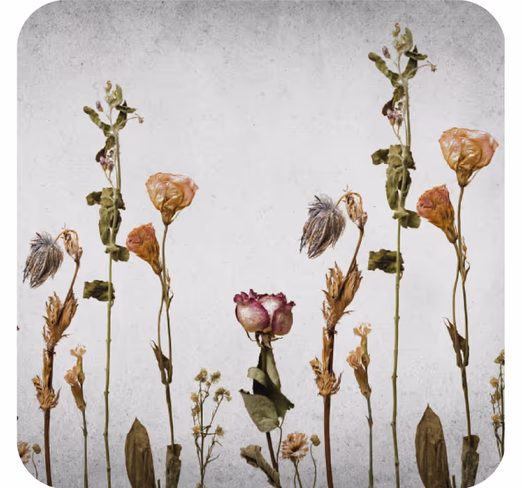 Coasters with dried floral arrangement design - TenStickers