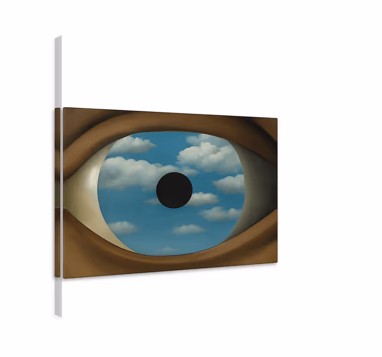 The fake mirror canvas art - TenStickers