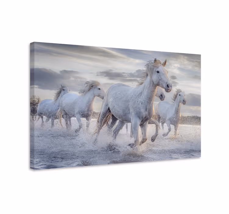 Horse wall art watering horses mural - TenStickers