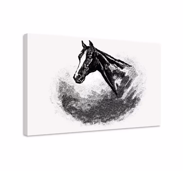 Horse wall art of graphite horses - TenStickers