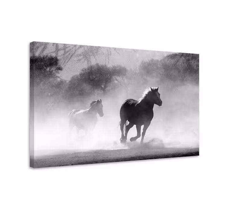 Horse wall art white and black horse artwork - TenStickers