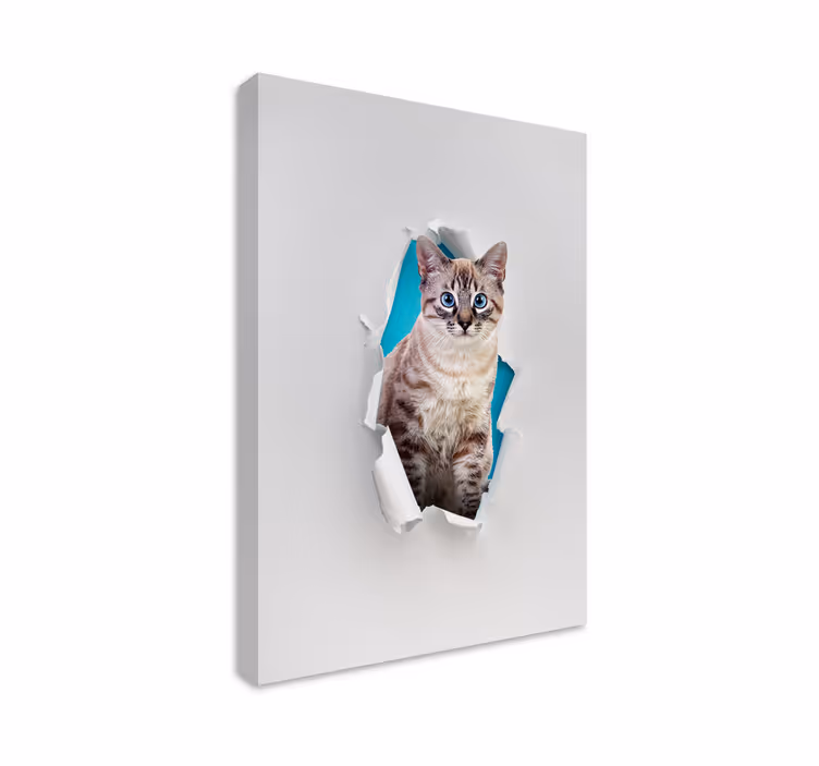 Cat wall art for feline lovers - TenStickers