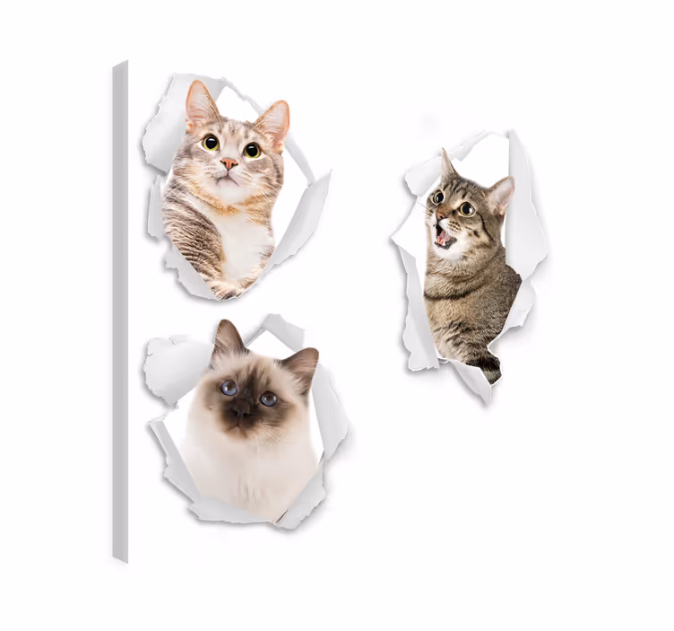 Cat wall art kittens trompe-l'œil - TenStickers