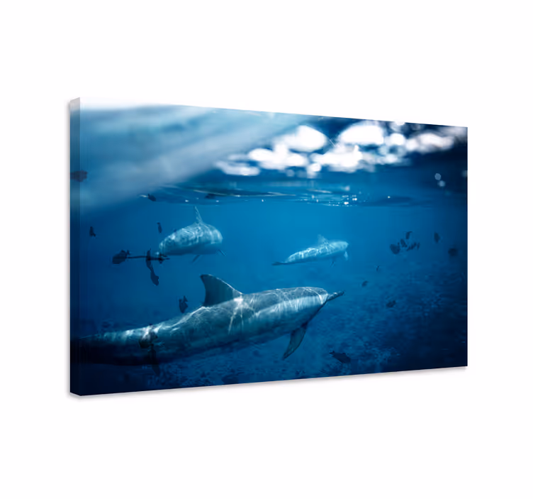 Fish canvas with dolphins and fishes artwork - TenStickers