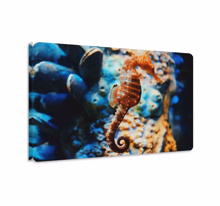 Fish canvas underwater scene - TenStickers