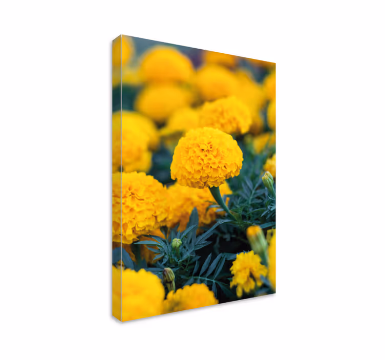 3D rama flores naranjas 3D canvas prints - TenStickers