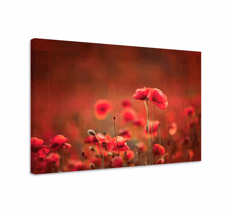 Poppy fields canvas wall art for master bedroom - TenStickers