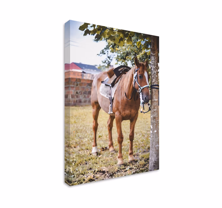 Horse under a tree canvas - TenStickers