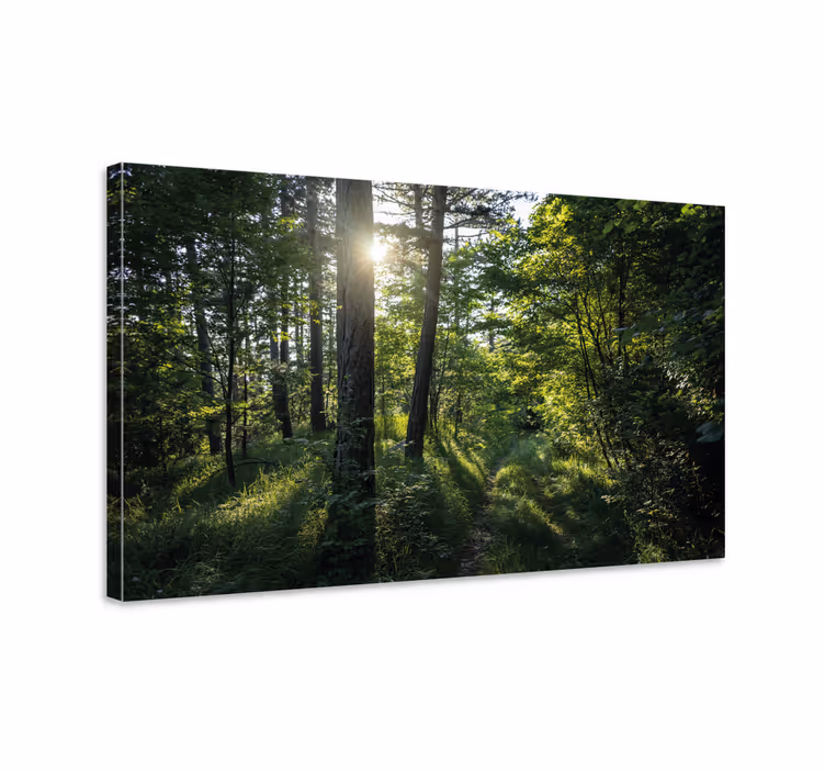 trees and green forest  Tree wall art canvas - TenStickers