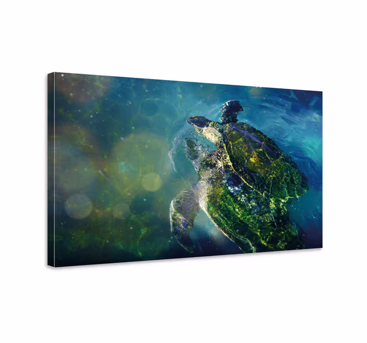 2 turtles in the sea fish canvas - TenStickers