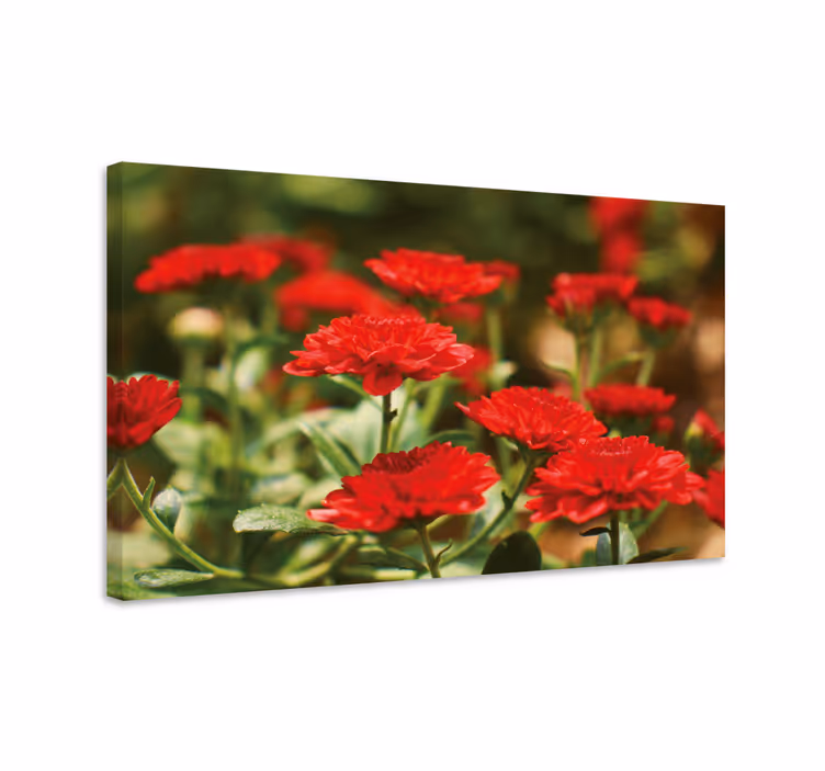 Flowers canvas red flower blooms - TenStickers