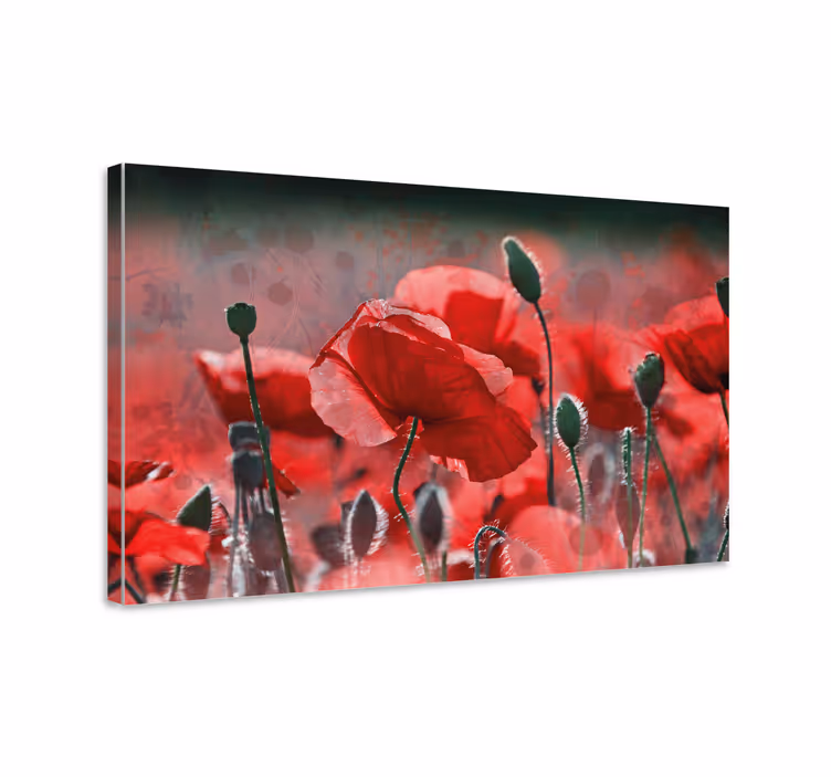 Red and green poppy field flower canvas - TenStickers